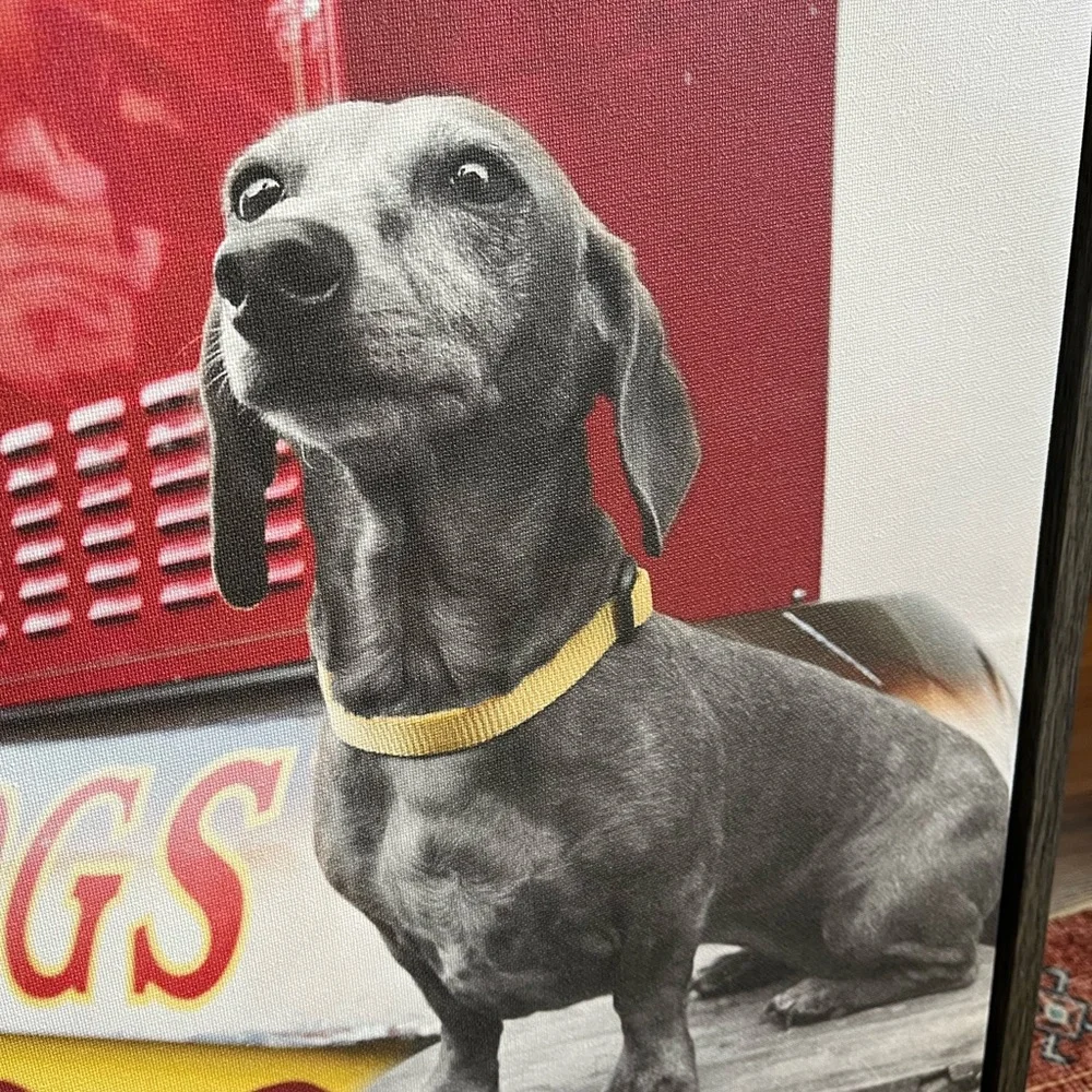 Dachshund Uniek Framed Canvas Art
